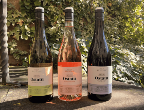 The 2024 vintage at Ostatu: a harvest marked by balance and learning