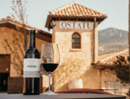 Descubre Rioja Alavesa este verano: vino, paisajes y planes inolvidables